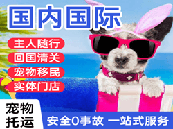 榆林榆阳航空快运国际宠物托运 【国